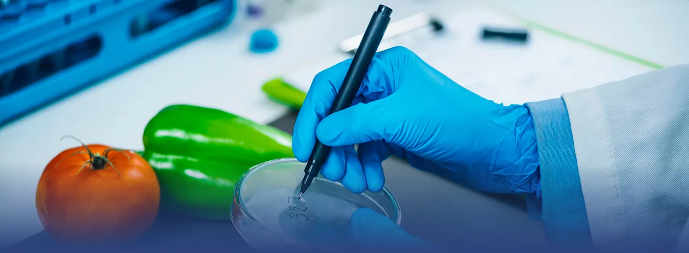 Water & Environmental image